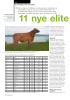 11 nye elite okser