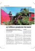 4,7 millioner granplanter ble kastet