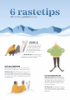 6 rastetips