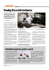 Arbeidslivsnyheter på flere språk