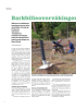 Barkbilleovervåkingen tyder ikke på utbrudd
