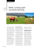 Beite, kunstig kjøtt og karbonbinding