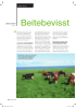 Beitebevisst strategi