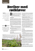 Beriker med rødkløver