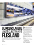 BLIKKENSLAGERE LAGETS KUNST PÅ NYE FLESLAND