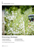 Blomstring i Hardanger