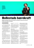 Bollestads bærekraft