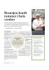 Bransjen hardt rammet i hele verden
