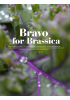 Bravo for Brassica
