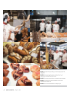 Bronse i Nordic Bakery Cup LITT «STANG UT»