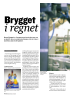 Brygget i regnet