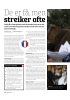 De er få, men streiker ofte