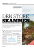 DEN STORE SKAMMEN