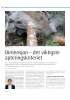 Dimensjon - det viktigste apteringskriteriet