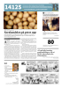 Direktør i Norsk