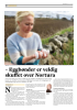- Eggbønder er veldig skuffet over Nortura