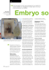 Embryo som avlstiltak
