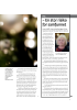 - En stor risiko for samfunnet