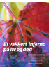 Et vakkert inferno på liv og død