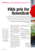 Fikk pris for flomtiltak