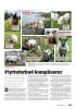 Flytteforbud kompliserer