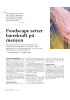 Foodscape setter bærekraft på menyen
