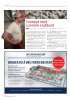 Fornøyd med sunnere Hubbard