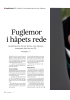 Fuglemor i håpets rede