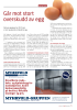 Går mot stort overskudd av egg