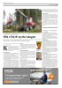 Gir skogen en nøkkelrolle