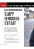 Gjerningsmannen SLAPP FENGSELSSTRAFF