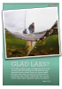 GLAD LAKS?