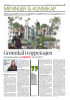 Grønnkål i toppetasjen ,,