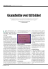 Gundells vei til bålet