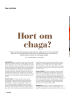 Hørt om chaga?