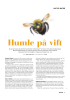 Humle på vift