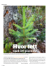 Hvor tett skal det plantes?