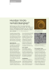 Hvordan hindre nematodeangrep?