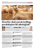 Hvorfor skal norsk kyllingproduksjon bli økologisk?