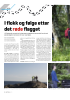 I flokk og følge etter det røde flagget
