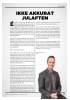 IKKE AKKURAT JULAFTEN