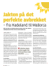 Jakten på det perfekte avbrekket