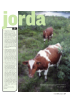 jorda