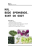 KÅL - BÅDE SPENNENDE, SUNT OG GODT