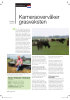 Kameraovervåker grasveksten