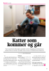 Katter som kommer og går