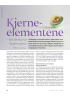 Kjerneelementene