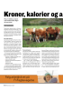 Kroner, kalorier og andre verdier