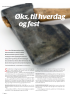 Øks, til hverdag og fest