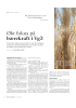Økt fokus på bærekraft i Vg3